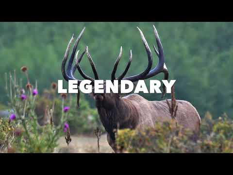 AF- Kahuna - LEGENDS OF THE FALL -SERIES $9.99