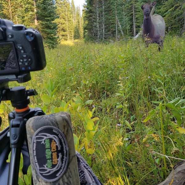 Calling and Decoying Elk