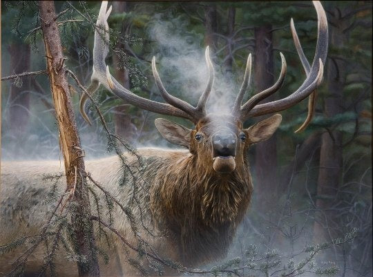 Quick Tip Series - Great Elk Calling and Hunting Tips